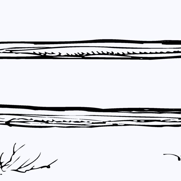 F0004 Thumbnail