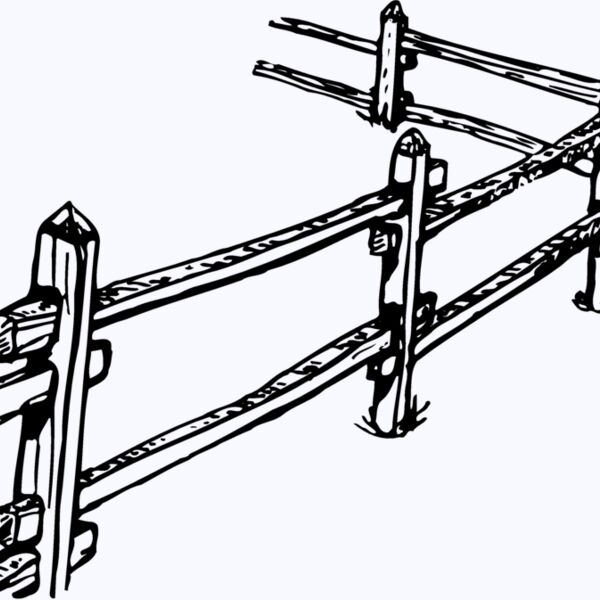 F0005 Thumbnail