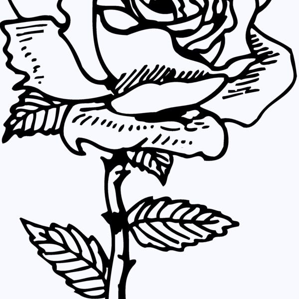 FLOWER04 Thumbnail