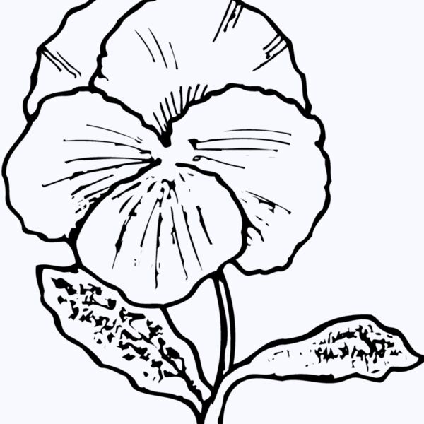 FLOWER07 Thumbnail