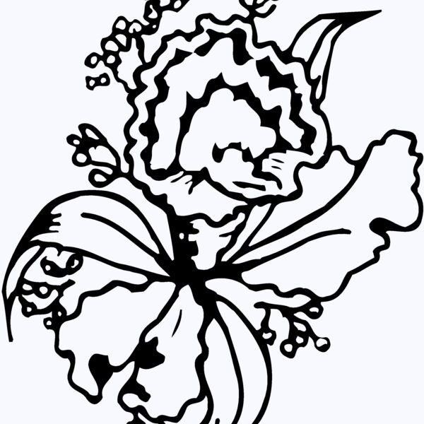 FLOWER13 Thumbnail