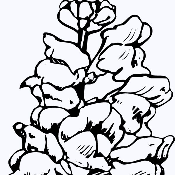 FLOWER14 Thumbnail