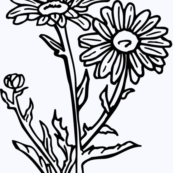 FLOWER17 Thumbnail