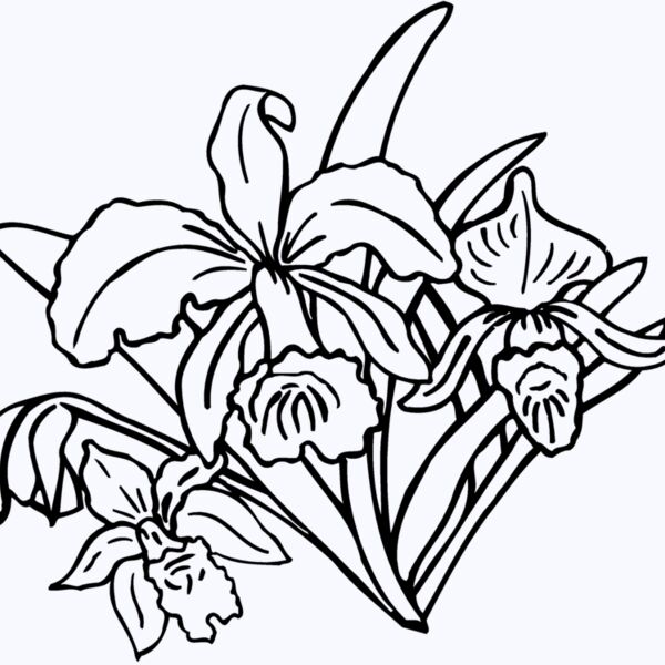 FLOWER18 Thumbnail