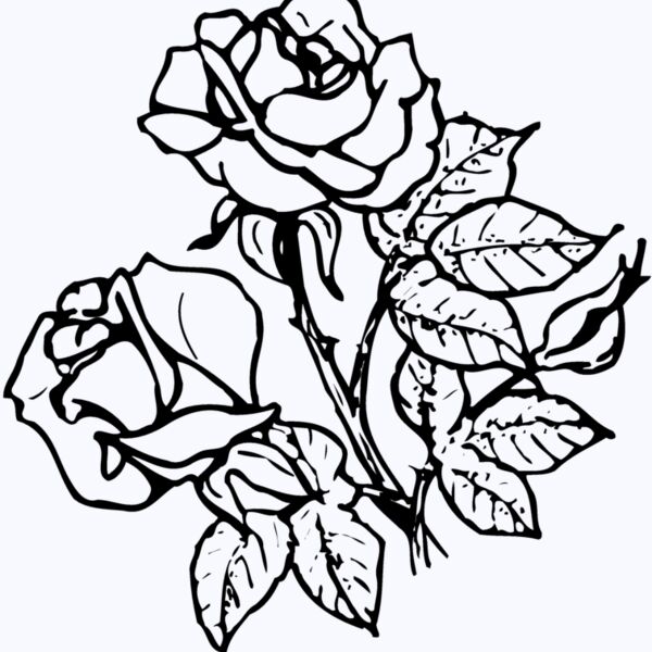 FLOWER21 Thumbnail