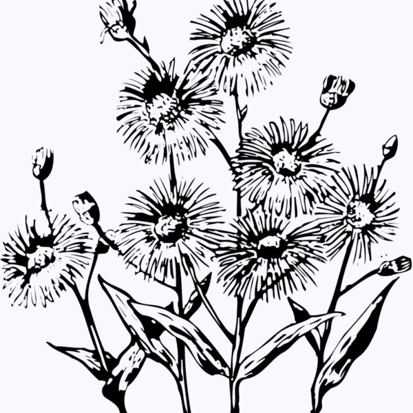 FLOWER22 Thumbnail