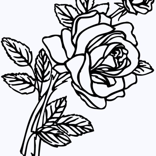 FLOWER27 Thumbnail