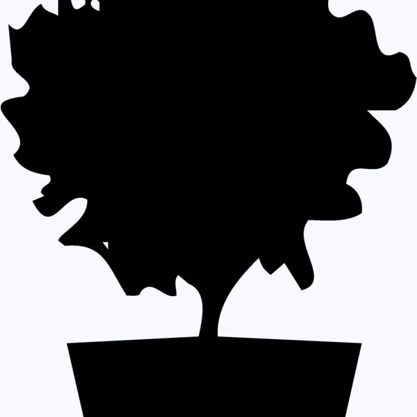 PLANT06 Thumbnail