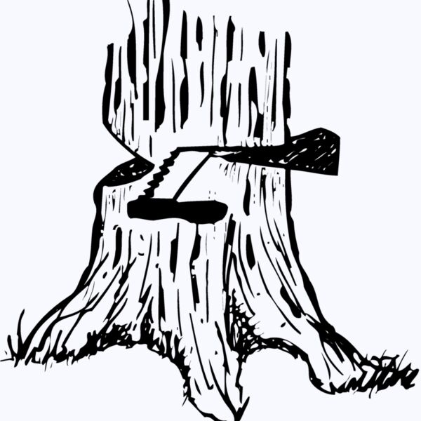 TIMBER13 Thumbnail