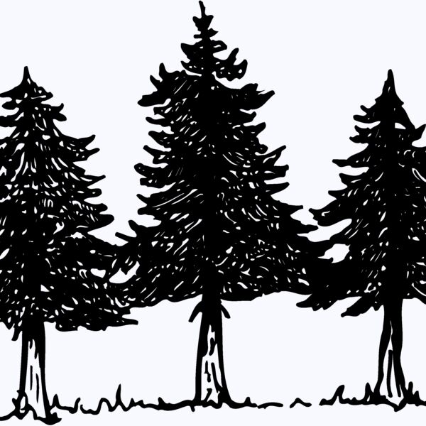 TREE0002 Thumbnail