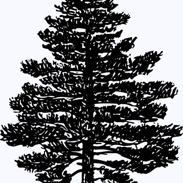 TREE0003 Thumbnail