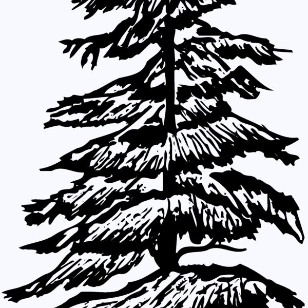 TREE0007 Thumbnail