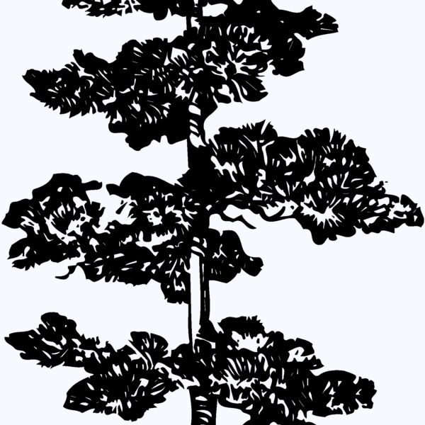 TREE0012 Thumbnail