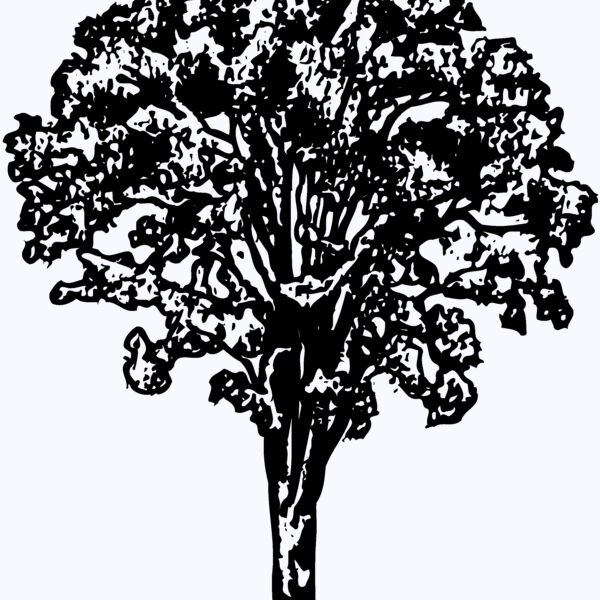 TREE0015 Thumbnail