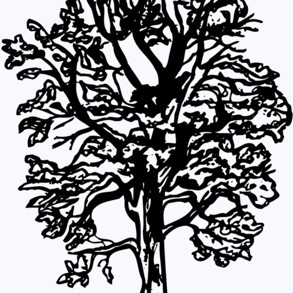 TREE0018 Thumbnail