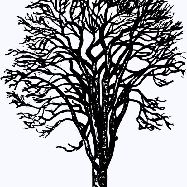 TREE0022 Thumbnail