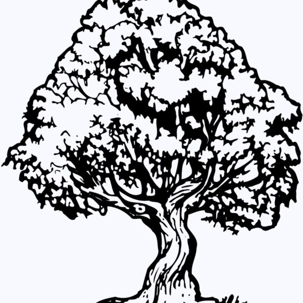 TREE0026 Thumbnail