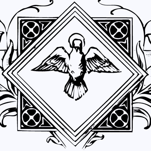 DOVE0002 Thumbnail