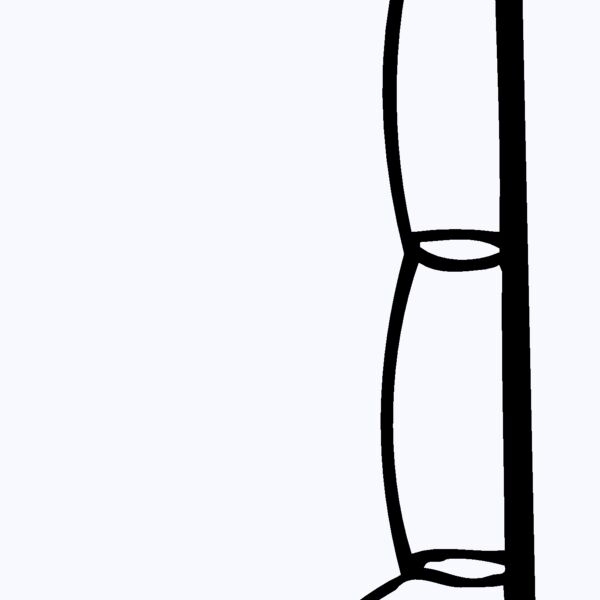 FISHNG01 Thumbnail
