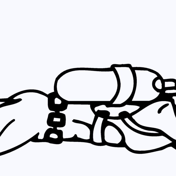SWIM08 Thumbnail
