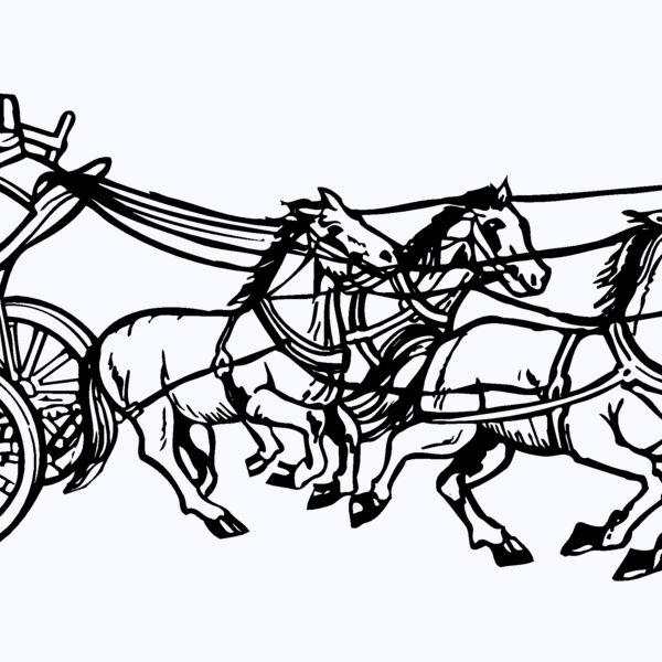 COACH003 Thumbnail