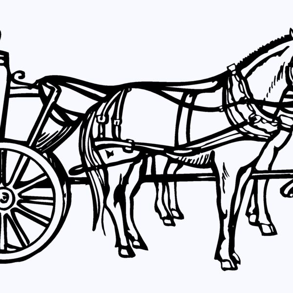 COACH004 Thumbnail