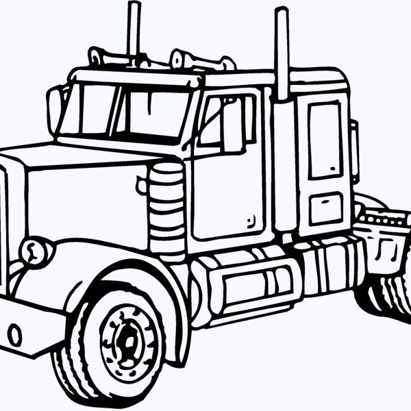 CAB03 Thumbnail