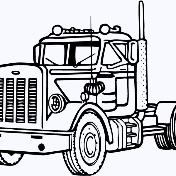CAB11 Thumbnail