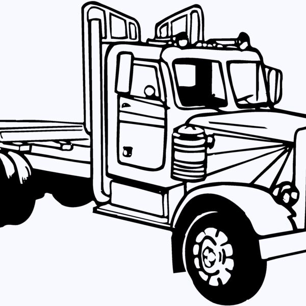 CAB19 Thumbnail