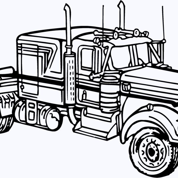 CAB24 Thumbnail
