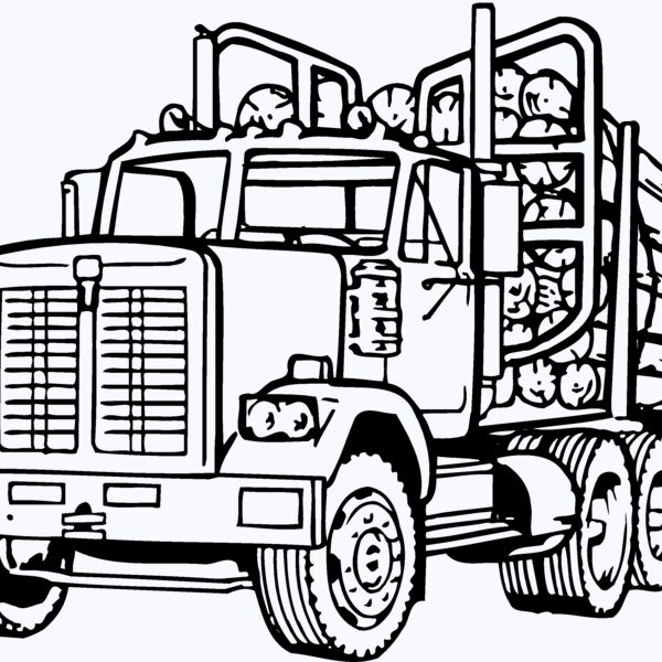 FLTBD003 Thumbnail